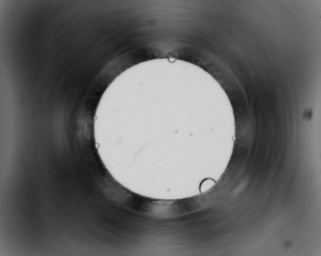 X0000103930090200810311527
