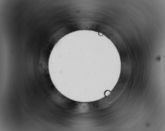 X0000103930091200810311527