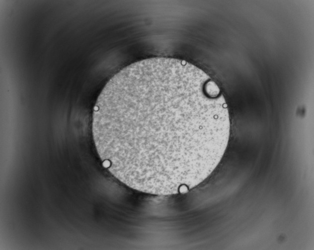 X0000103930092200810311527