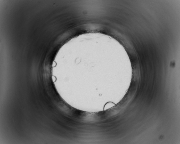 X0000103930093200810311527