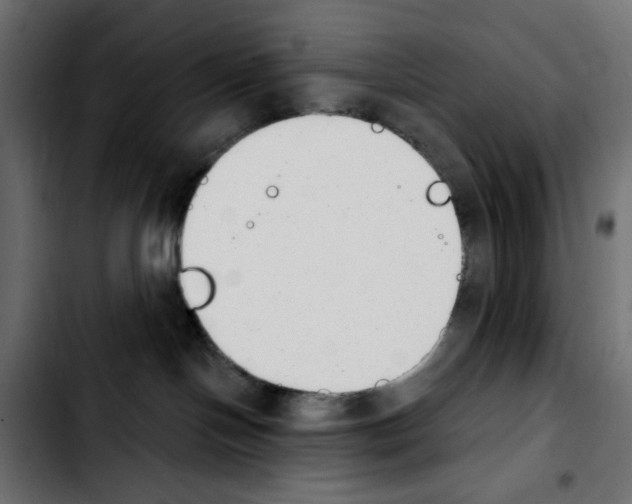 X0000103930094200810311527