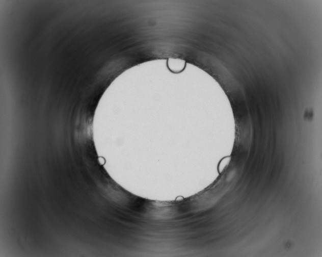 X0000103930095200810311527