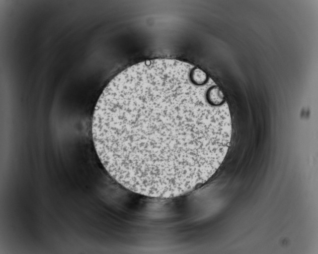 X0000103930096200810311527