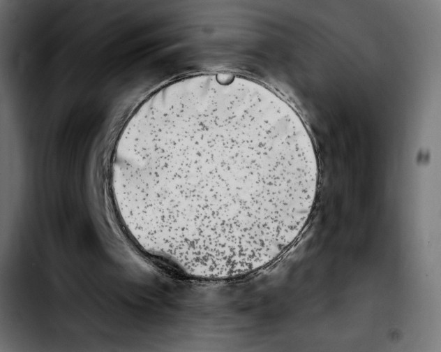 X0000103930097200810311526