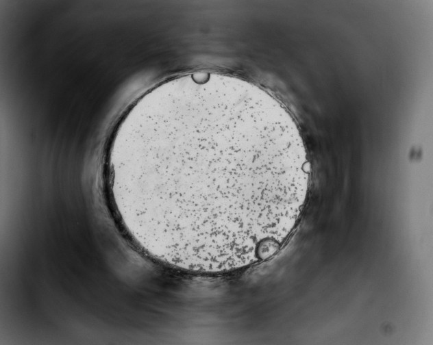 X0000103930101200810311526