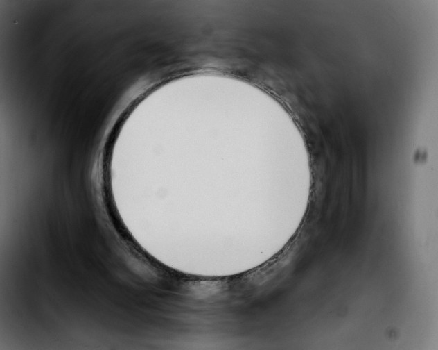 X0000103930102200810311526