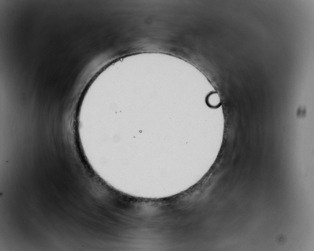 X0000103930103200810311526
