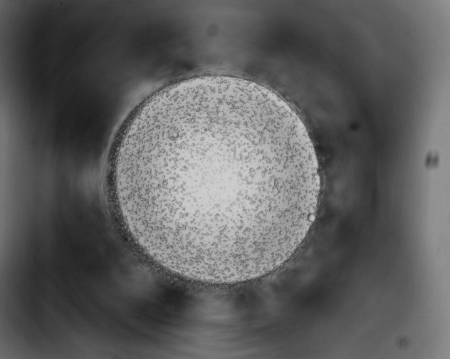 X0000103930104200810311526