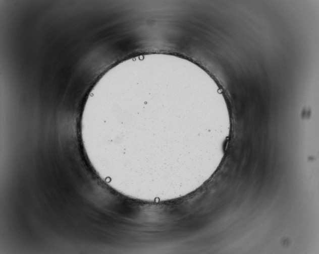 X0000103930105200810311526