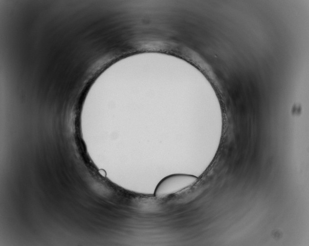 X0000103930106200810311526