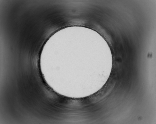 X0000103930107200810311526