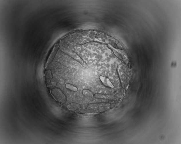 X0000103930108200810311526