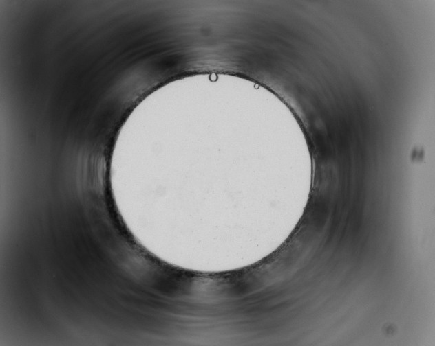 X0000103930109200810311526