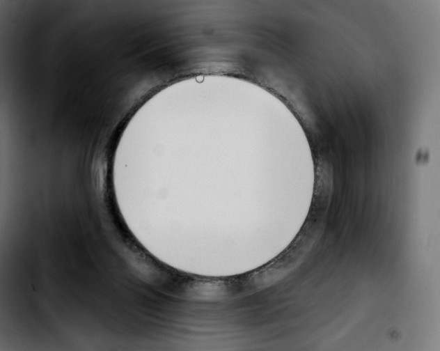 X0000103930110200810311526