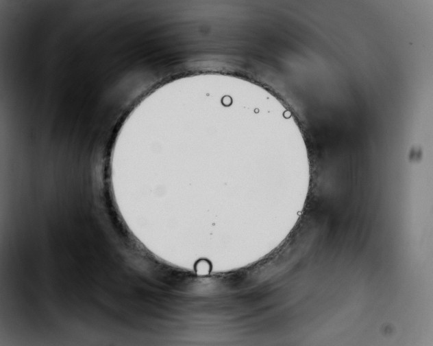 X0000103930111200810311526