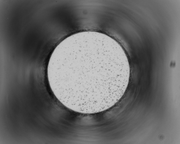 X0000103930113200810311526