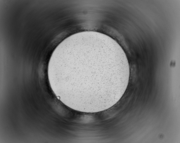 X0000103930114200810311526