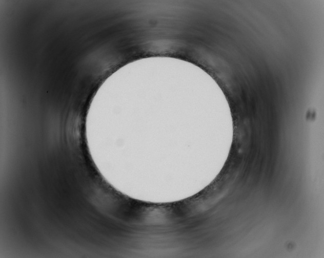 X0000103930115200810311526