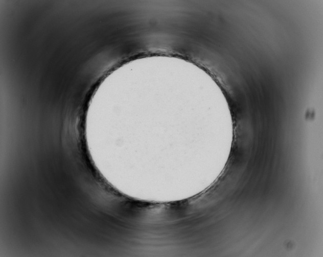 X0000103930116200810311526