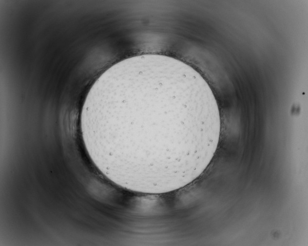 X0000103930118200810311526