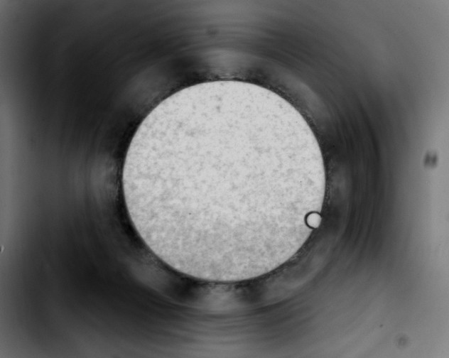 X0000103930121200810311526