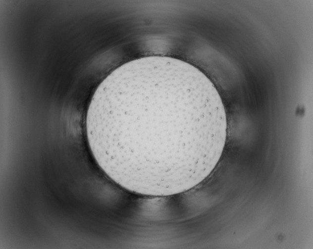 X0000103930122200810311526