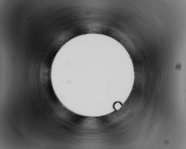 X0000103930123200810311526