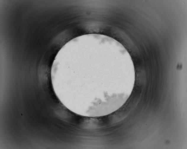 X0000103930125200810311526