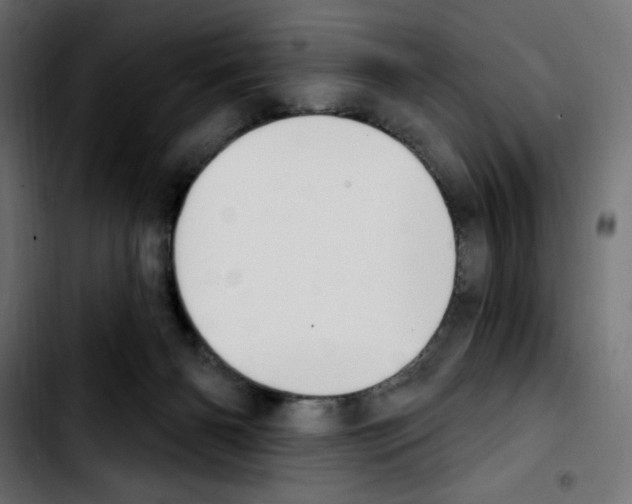 X0000103930126200810311526