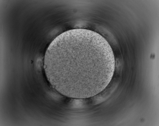 X0000103930127200810311526