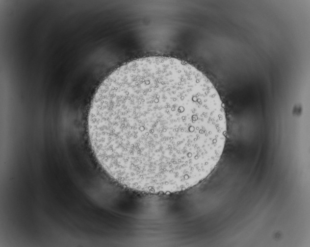 X0000103930128200810311526