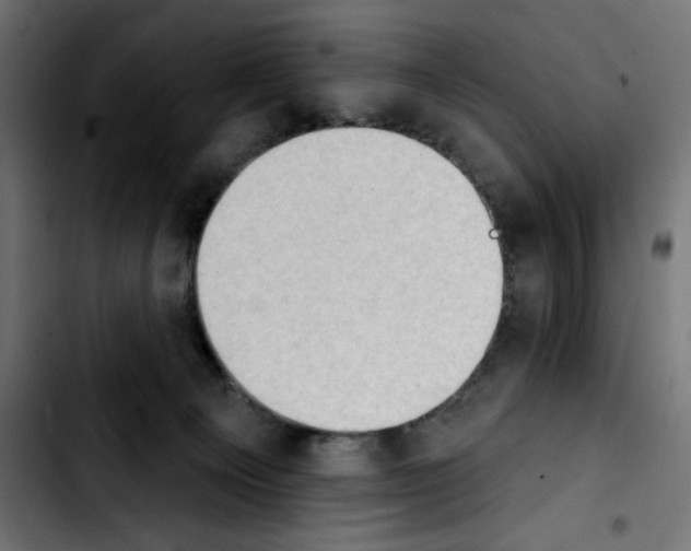 X0000103930129200810311526