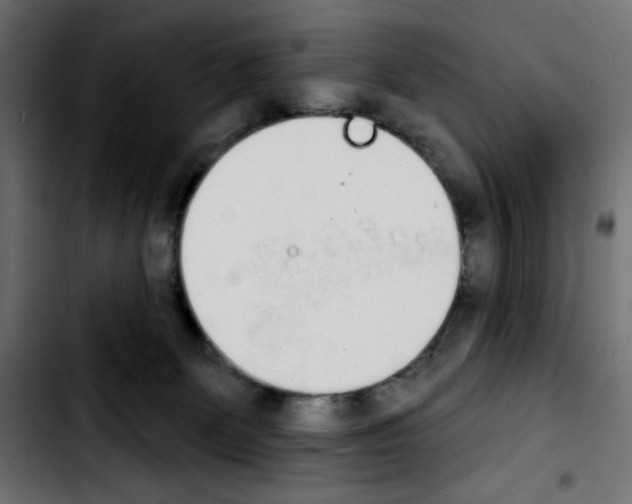 X0000103930131200810311526
