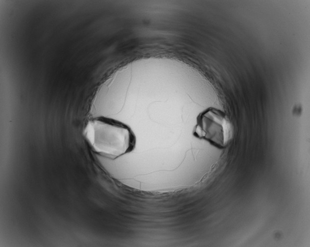 X0000103930132200810311526