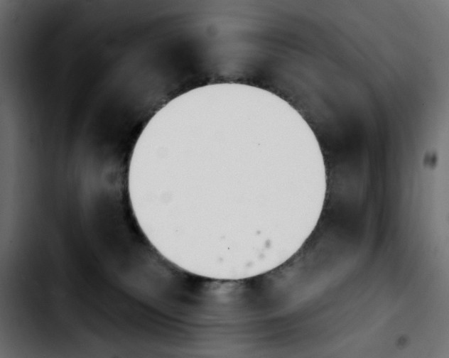 X0000103930135200810311526