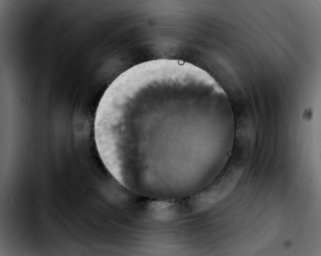 X0000103930139200810311526