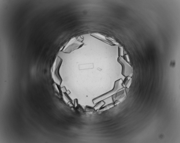 X0000103930140200810311526