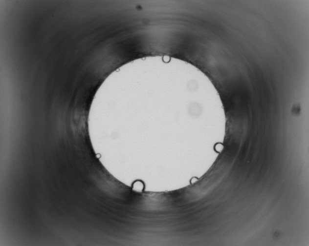 X0000103930141200810311526