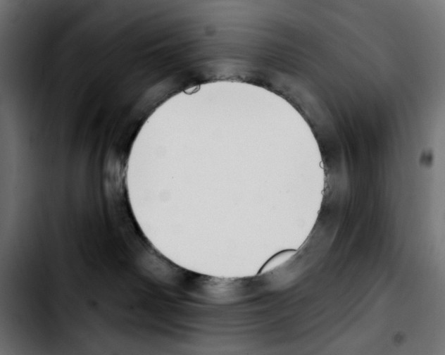 X0000103930142200810311526