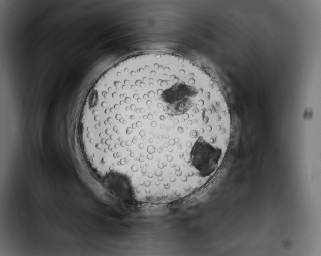 X0000103930145200810311525