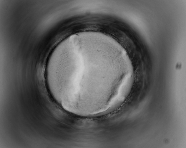 X0000103930146200810311525