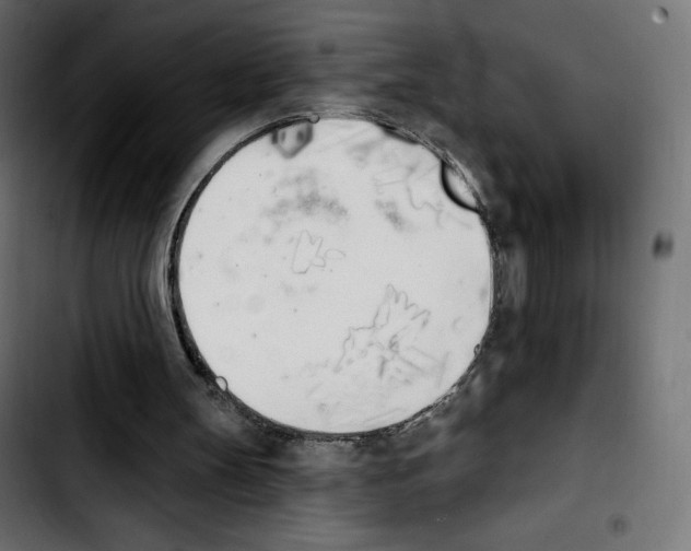 X0000103930147200810311525