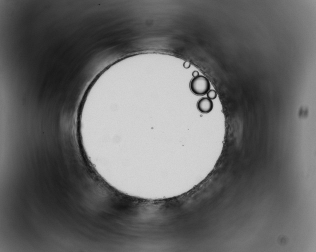 X0000103930148200810311525