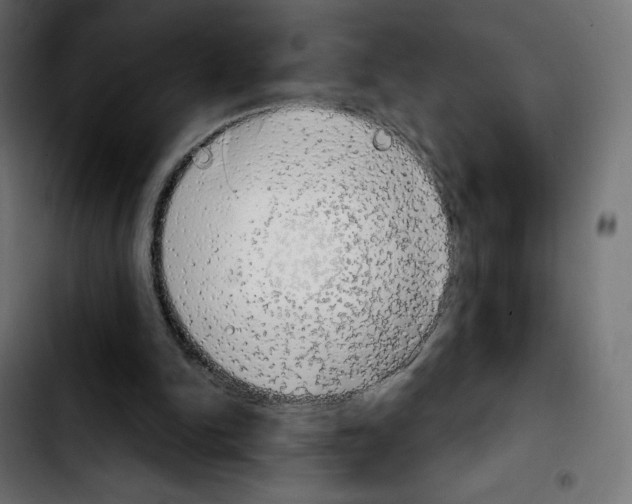 X0000103930150200810311525