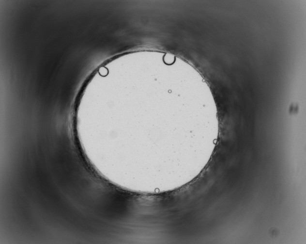 X0000103930152200810311525