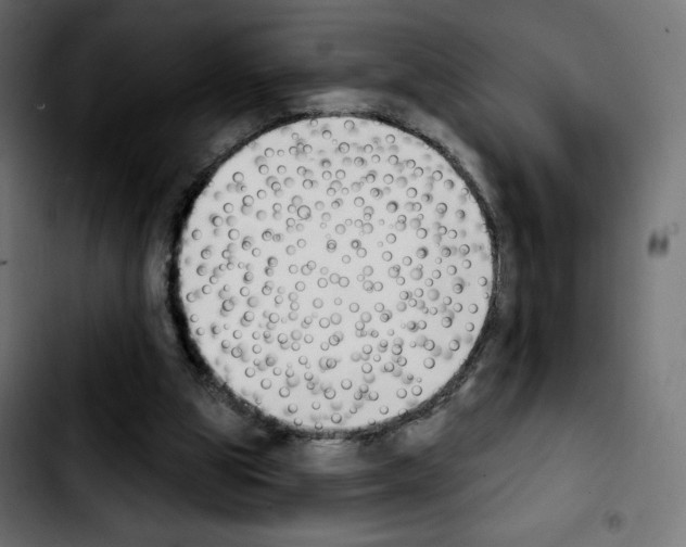 X0000103930153200810311525