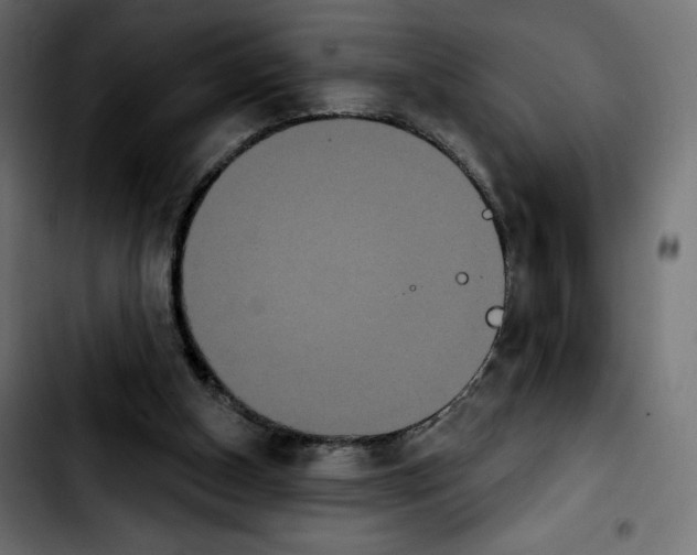 X0000103930154200810311525