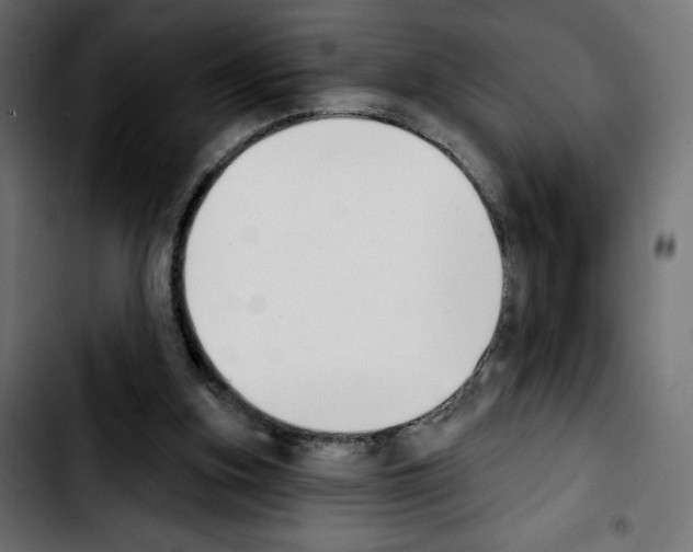 X0000103930155200810311525