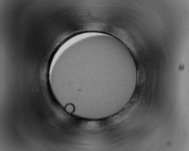 X0000103930156200810311525