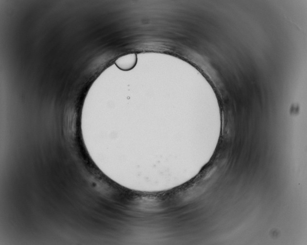 X0000103930157200810311525